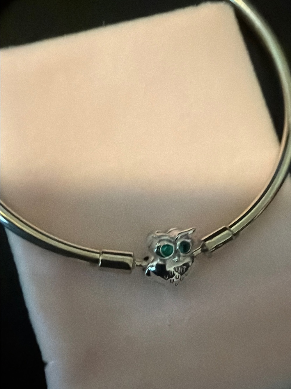 New In Box, Silver Owl Charm Bangle with Green Eyes